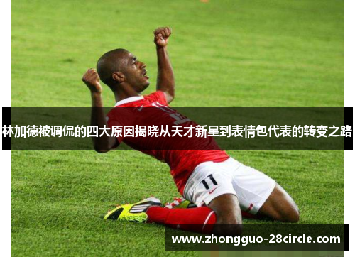 林加德被调侃的四大原因揭晓从天才新星到表情包代表的转变之路